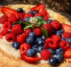 Génoise aux petits fruits et crème pâtissière